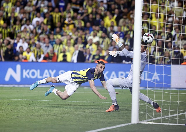 迷的希望 迷的希望