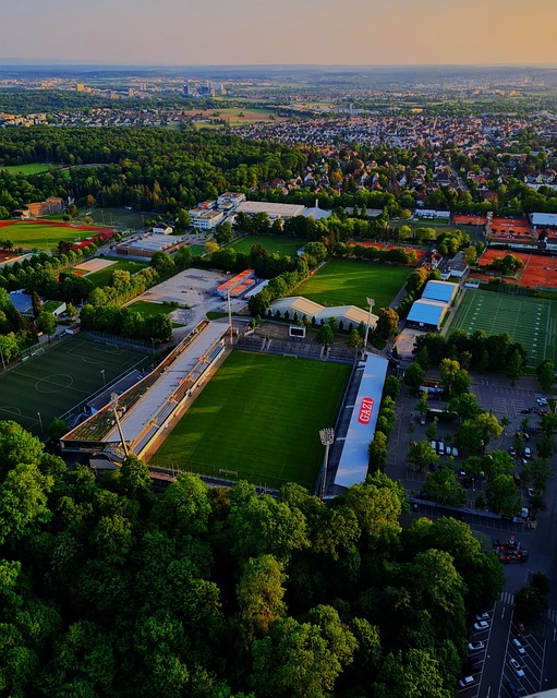 级别的对手 级别的对手