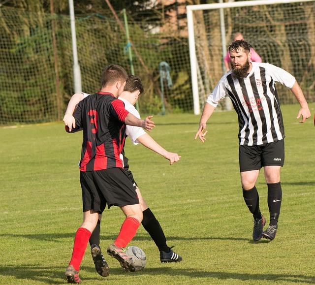 原因卸任國 原因卸任國