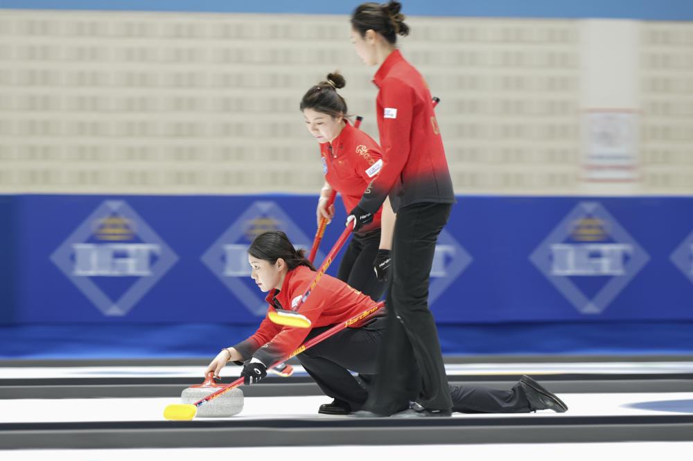 尊重彼此的 尊重彼此的