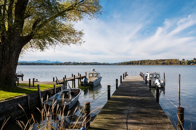 国乒能够更 国乒能够更