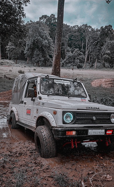 各种变化 各种变化